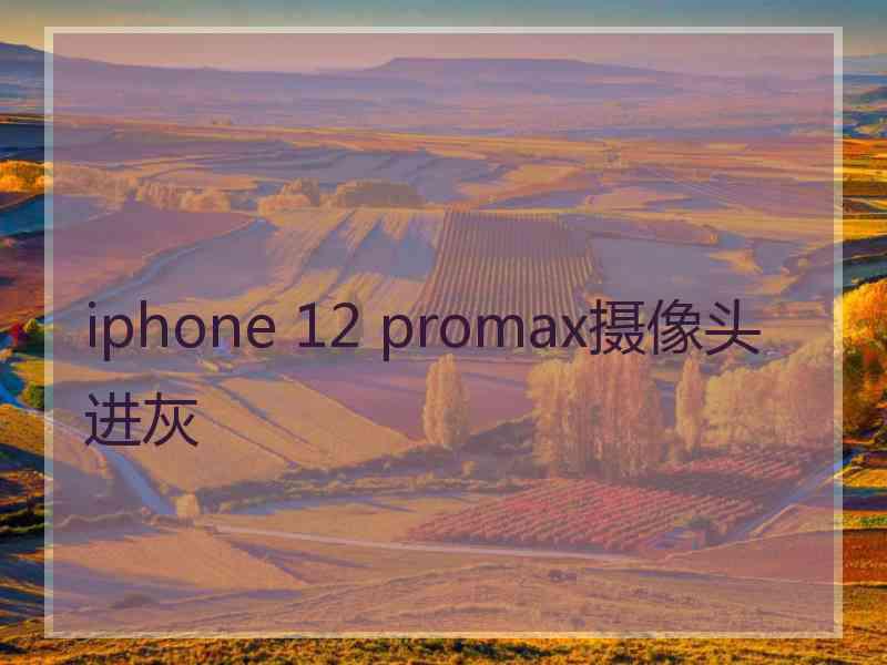 iphone 12 promax摄像头进灰