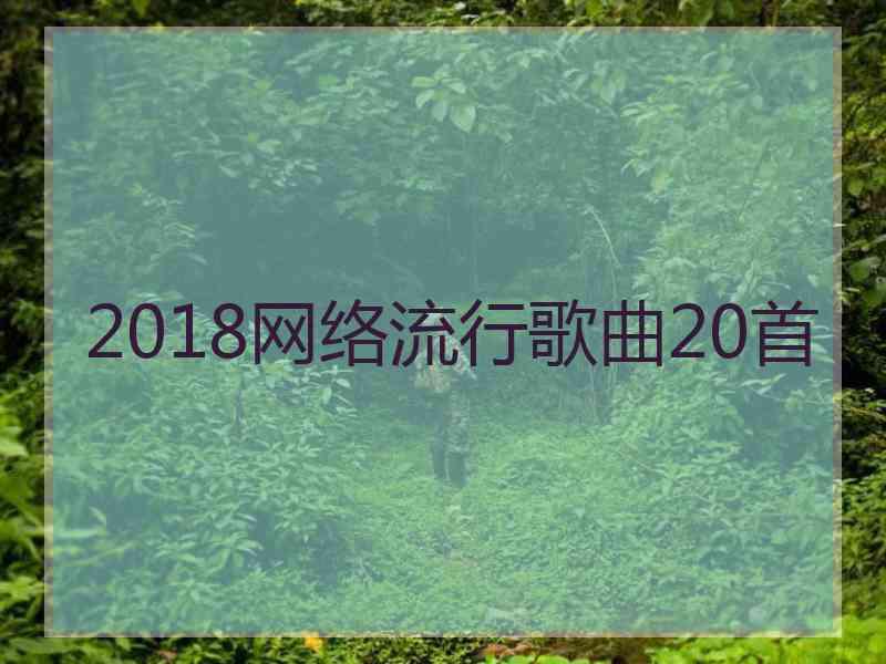 2018网络流行歌曲20首