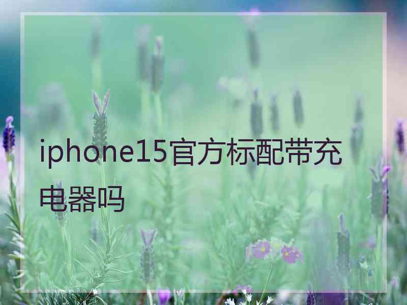 iphone15官方标配带充电器吗