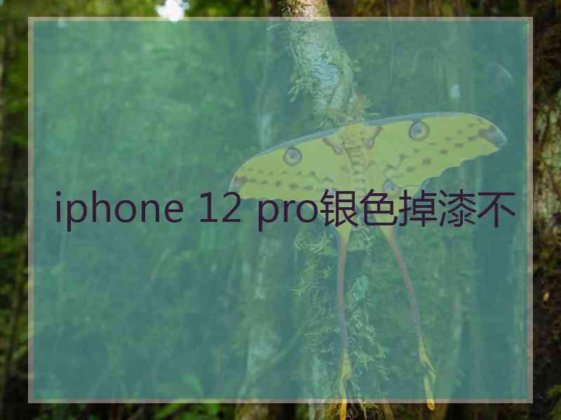 iphone 12 pro银色掉漆不