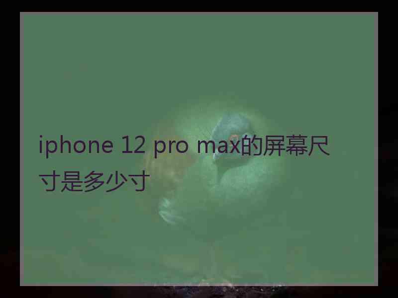 iphone 12 pro max的屏幕尺寸是多少寸