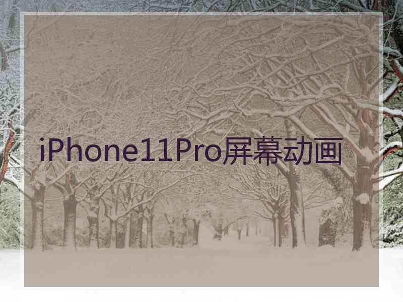 iPhone11Pro屏幕动画