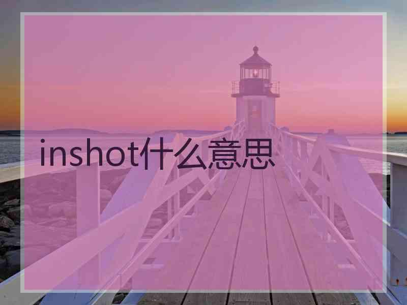 inshot什么意思