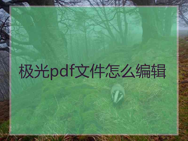 极光pdf文件怎么编辑