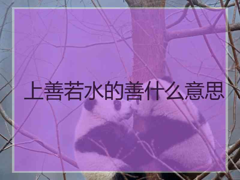 上善若水的善什么意思