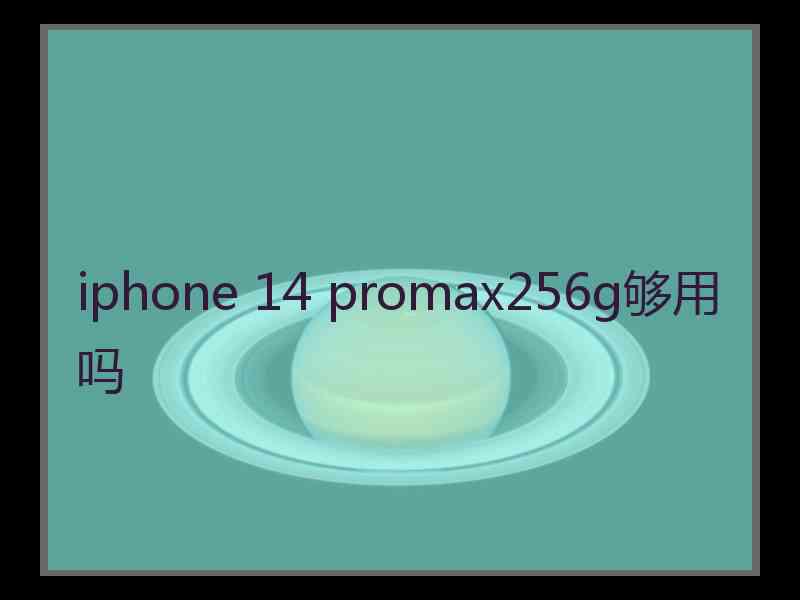 iphone 14 promax256g够用吗