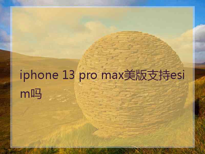 iphone 13 pro max美版支持esim吗