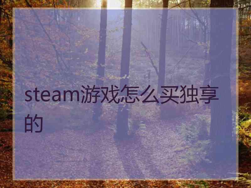 steam游戏怎么买独享的