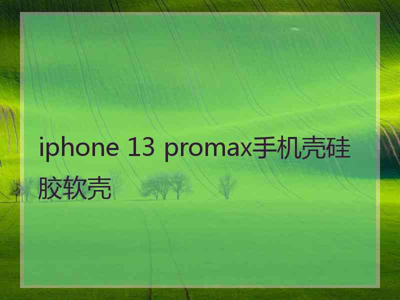 iphone 13 promax手机壳硅胶软壳