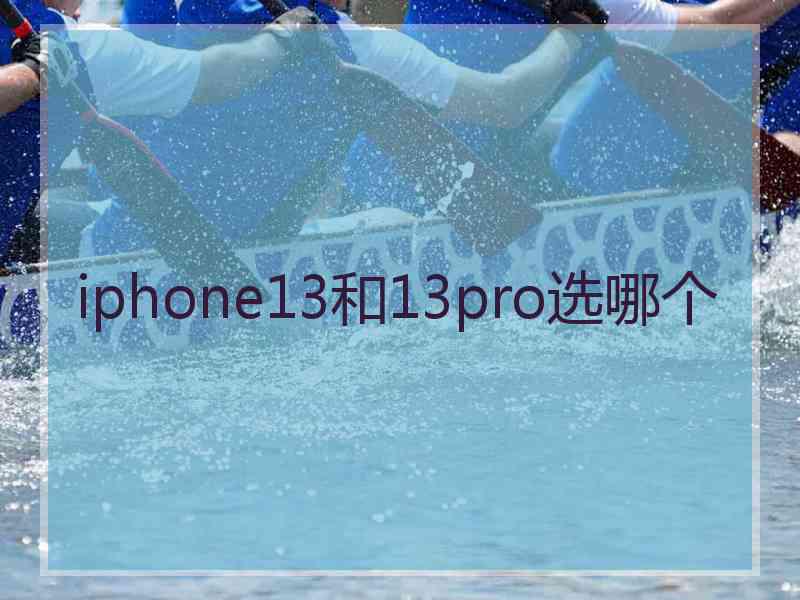 iphone13和13pro选哪个