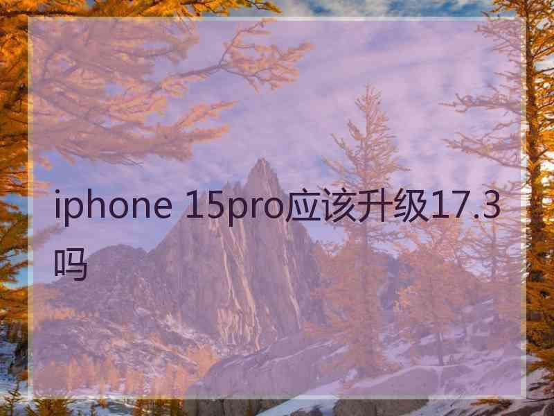 iphone 15pro应该升级17.3吗