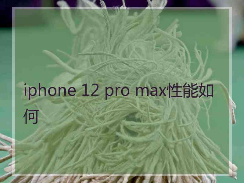 iphone 12 pro max性能如何