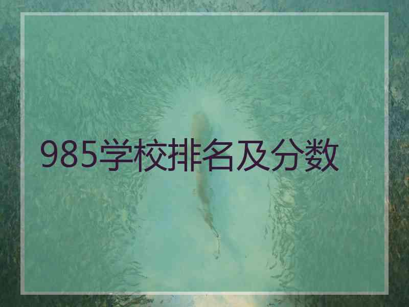 985学校排名及分数