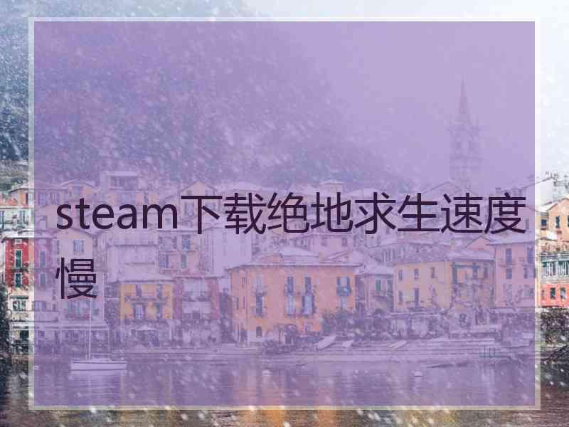 steam下载绝地求生速度慢