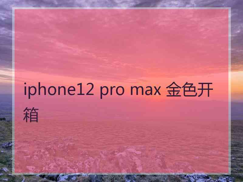 iphone12 pro max 金色开箱