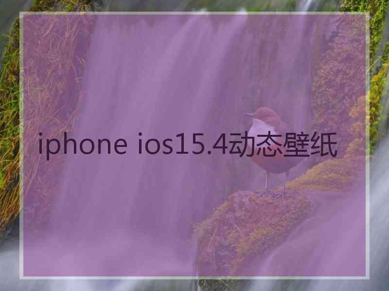 iphone ios15.4动态壁纸