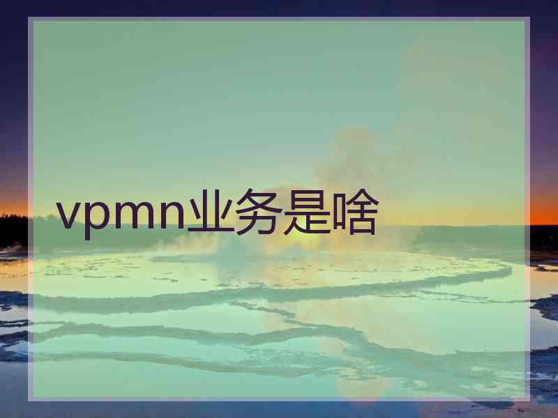 vpmn业务是啥