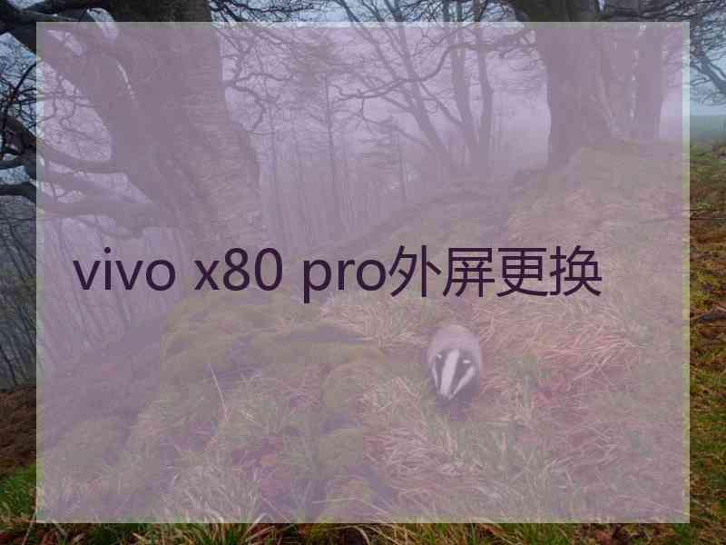 vivo x80 pro外屏更换