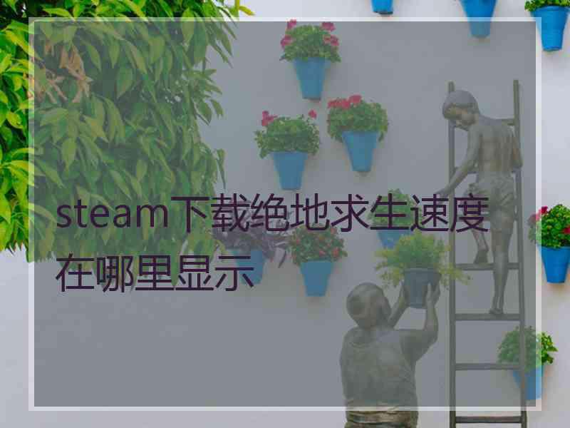 steam下载绝地求生速度在哪里显示