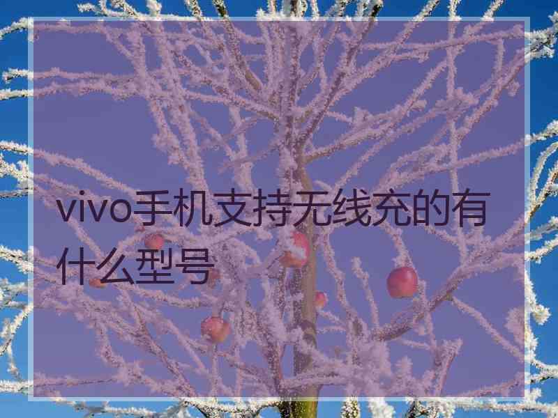 vivo手机支持无线充的有什么型号