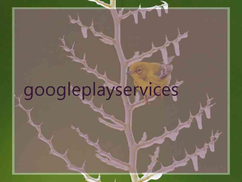 googleplayservices