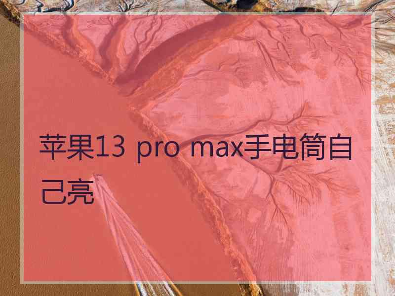 苹果13 pro max手电筒自己亮