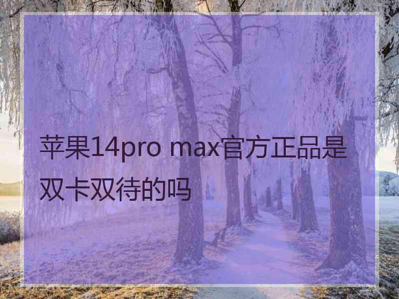 苹果14pro max官方正品是双卡双待的吗