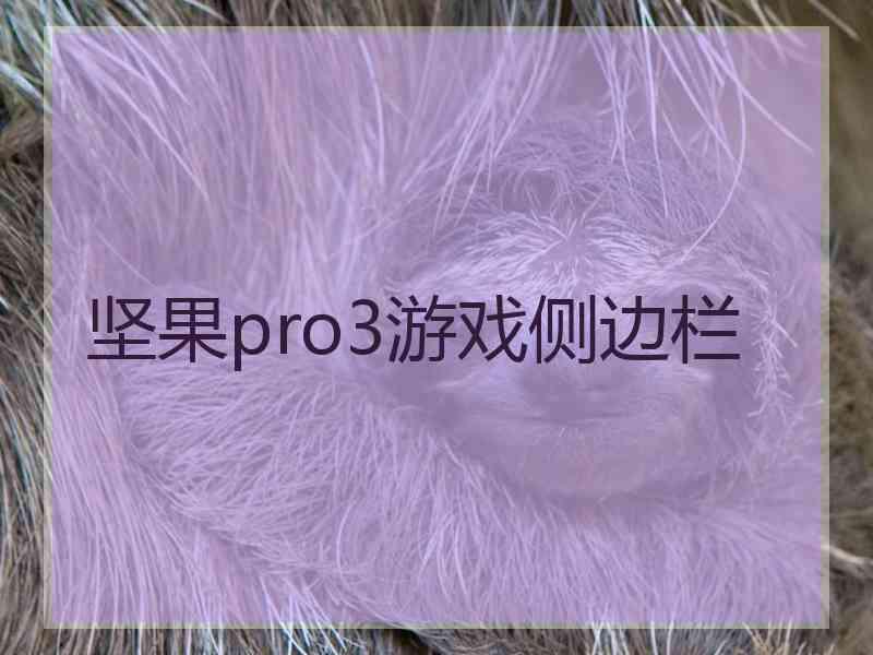 坚果pro3游戏侧边栏