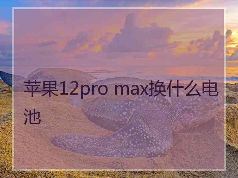 苹果12pro max换什么电池