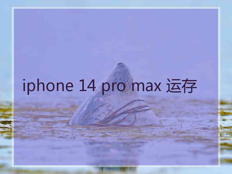 iphone 14 pro max 运存