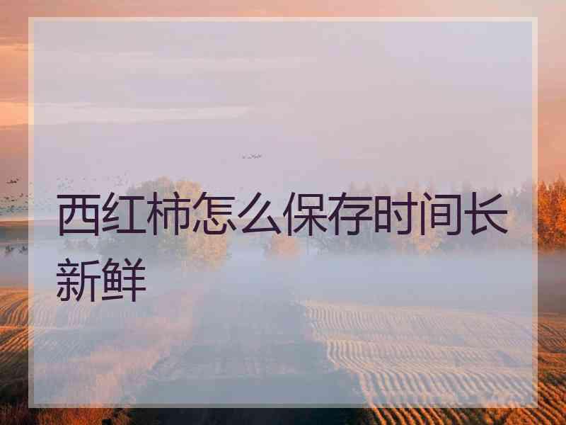 西红柿怎么保存时间长新鲜