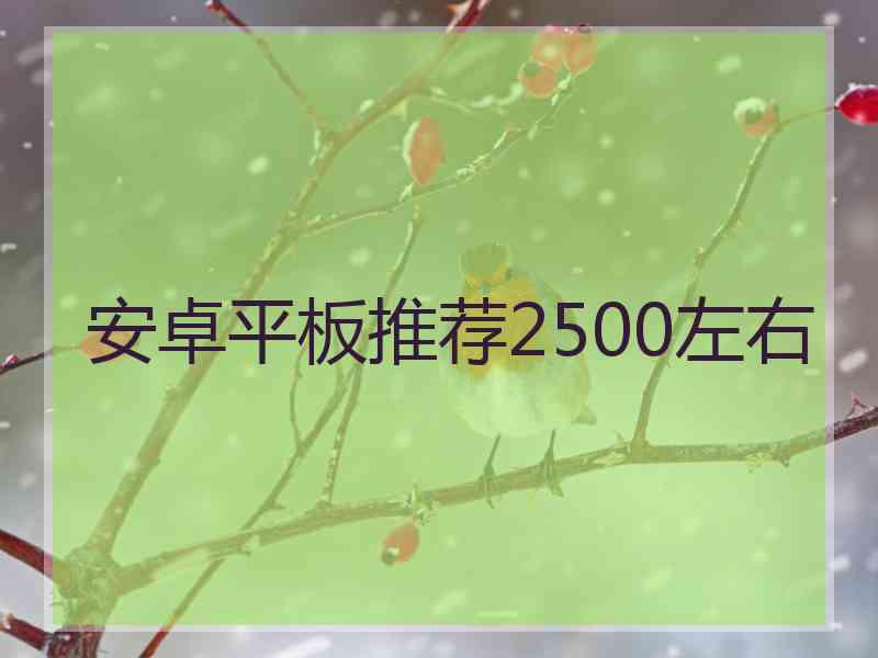 安卓平板推荐2500左右