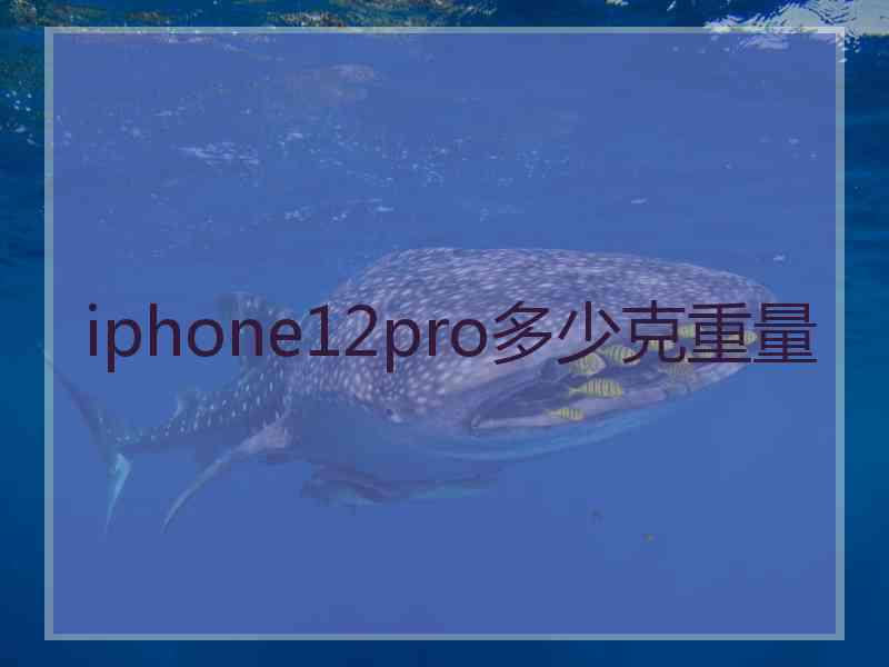 iphone12pro多少克重量