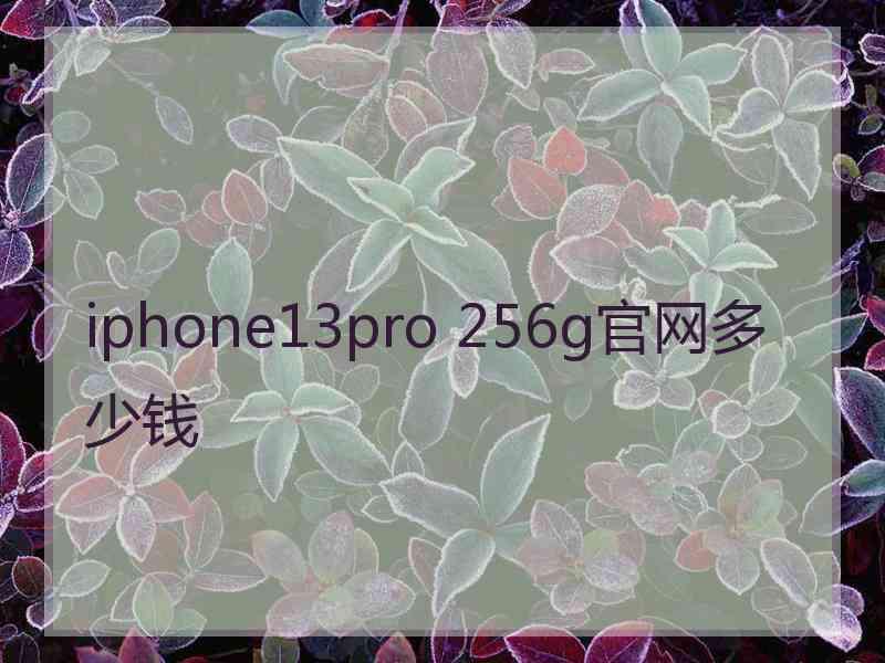 iphone13pro 256g官网多少钱