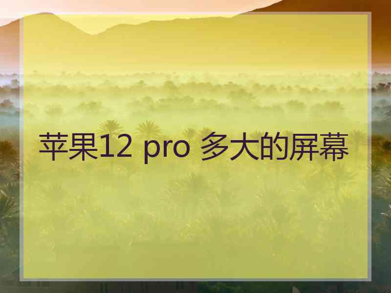 苹果12 pro 多大的屏幕