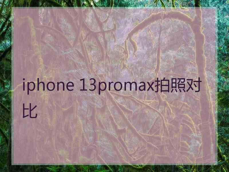 iphone 13promax拍照对比