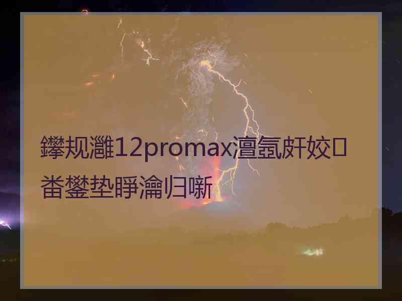 鑻规灉12promax澶氬皯姣畨鐢垫睜瀹归噺