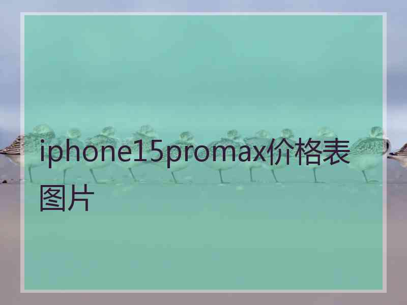 iphone15promax价格表图片