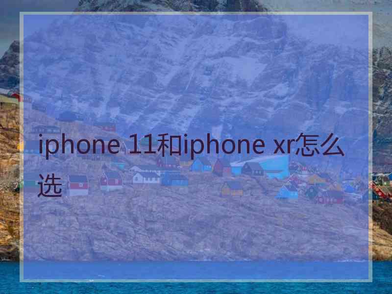 iphone 11和iphone xr怎么选