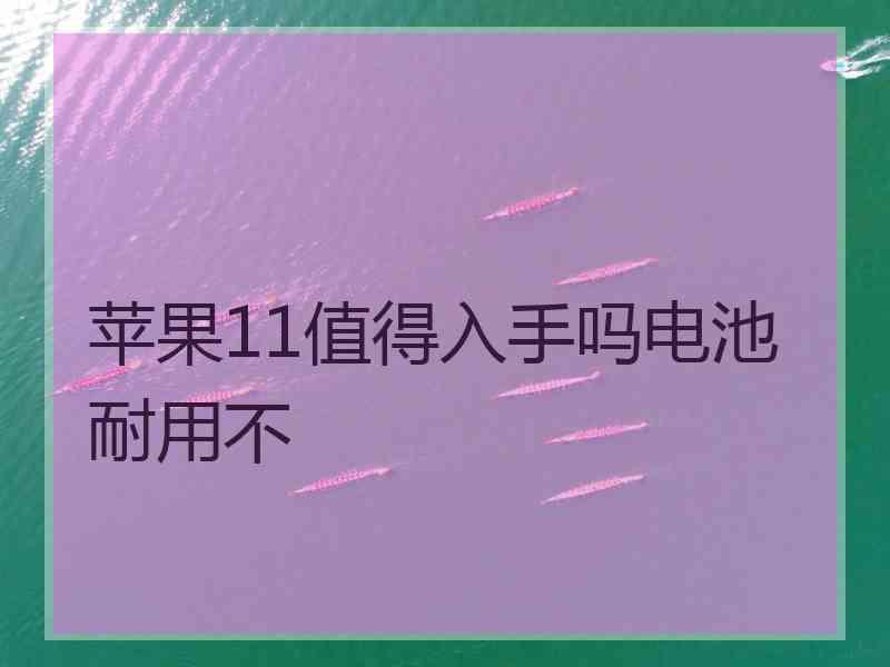 苹果11值得入手吗电池耐用不