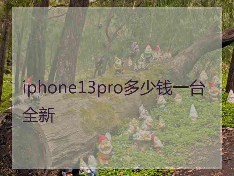 iphone13pro多少钱一台全新