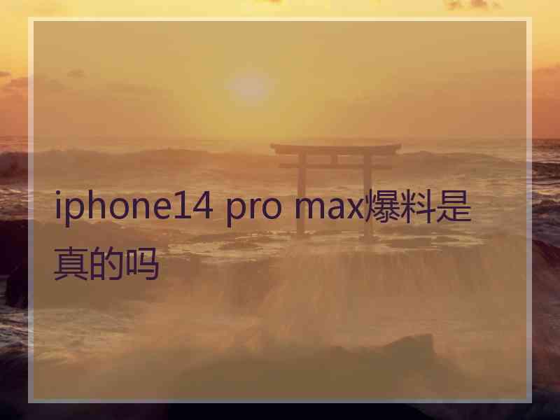 iphone14 pro max爆料是真的吗