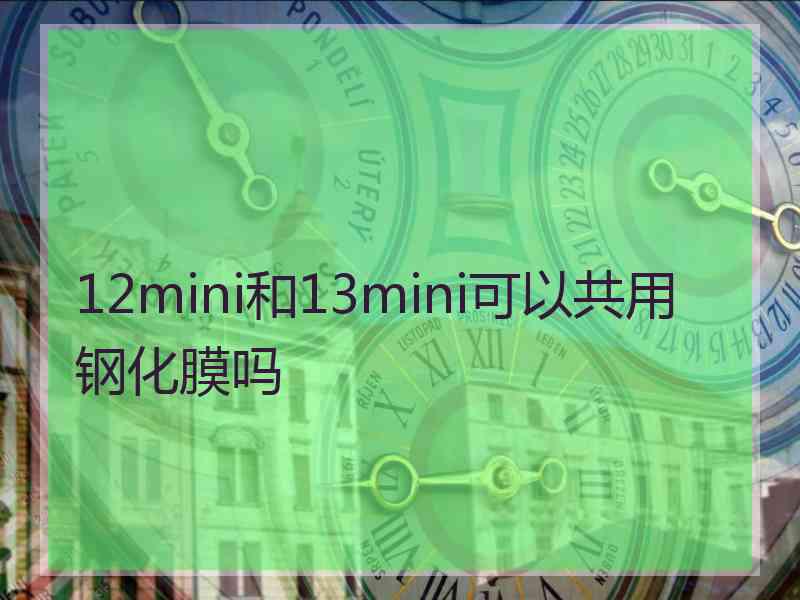 12mini和13mini可以共用钢化膜吗