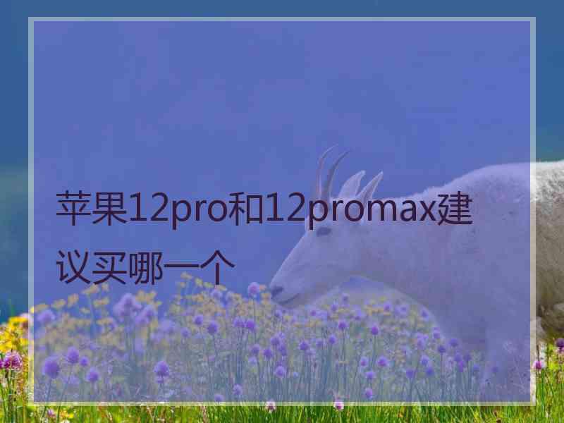 苹果12pro和12promax建议买哪一个