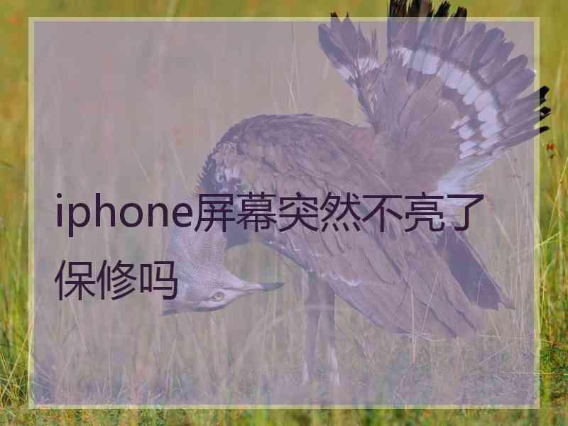 iphone屏幕突然不亮了保修吗