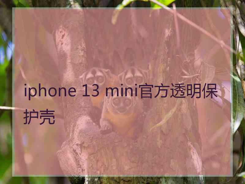 iphone 13 mini官方透明保护壳