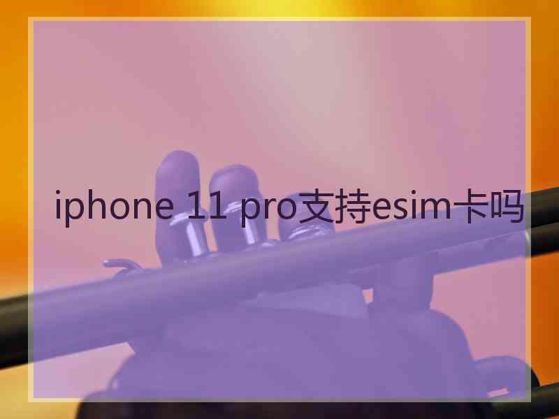 iphone 11 pro支持esim卡吗