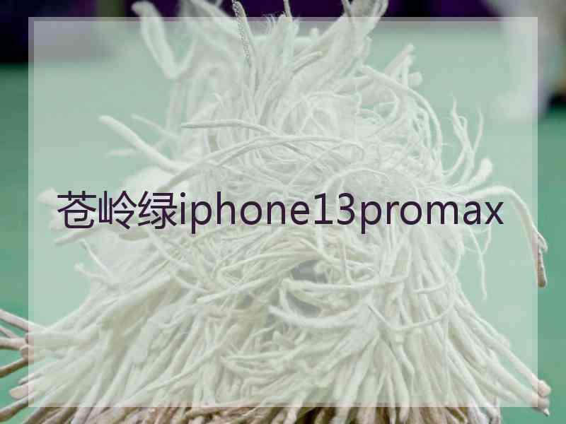 苍岭绿iphone13promax