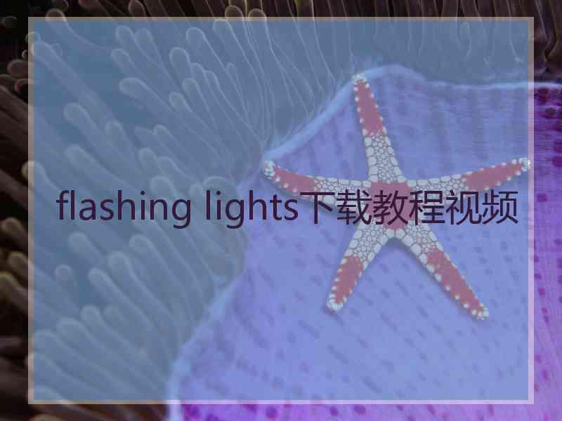 flashing lights下载教程视频