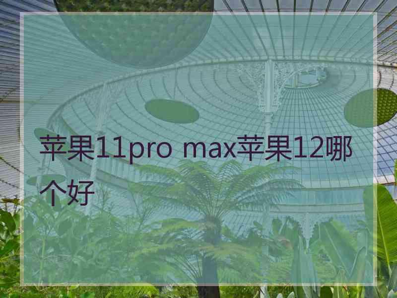 苹果11pro max苹果12哪个好